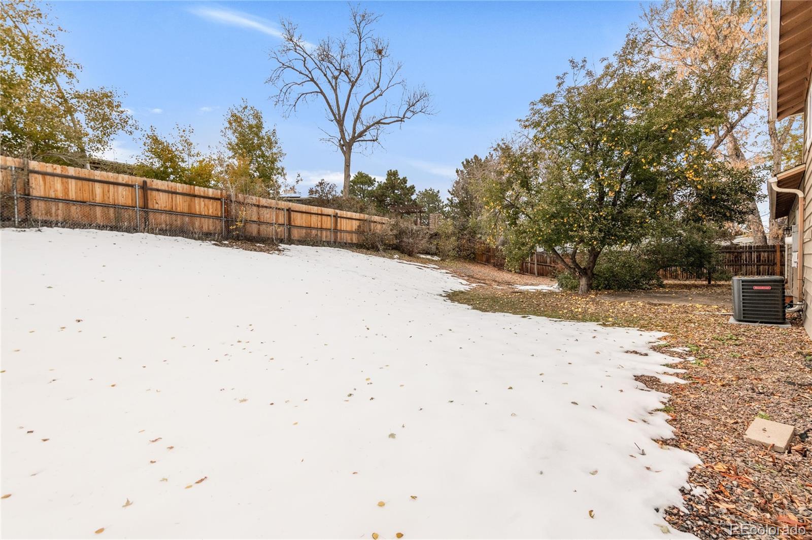 MLS Image #23 for 1553 s pierson court,denver, Colorado