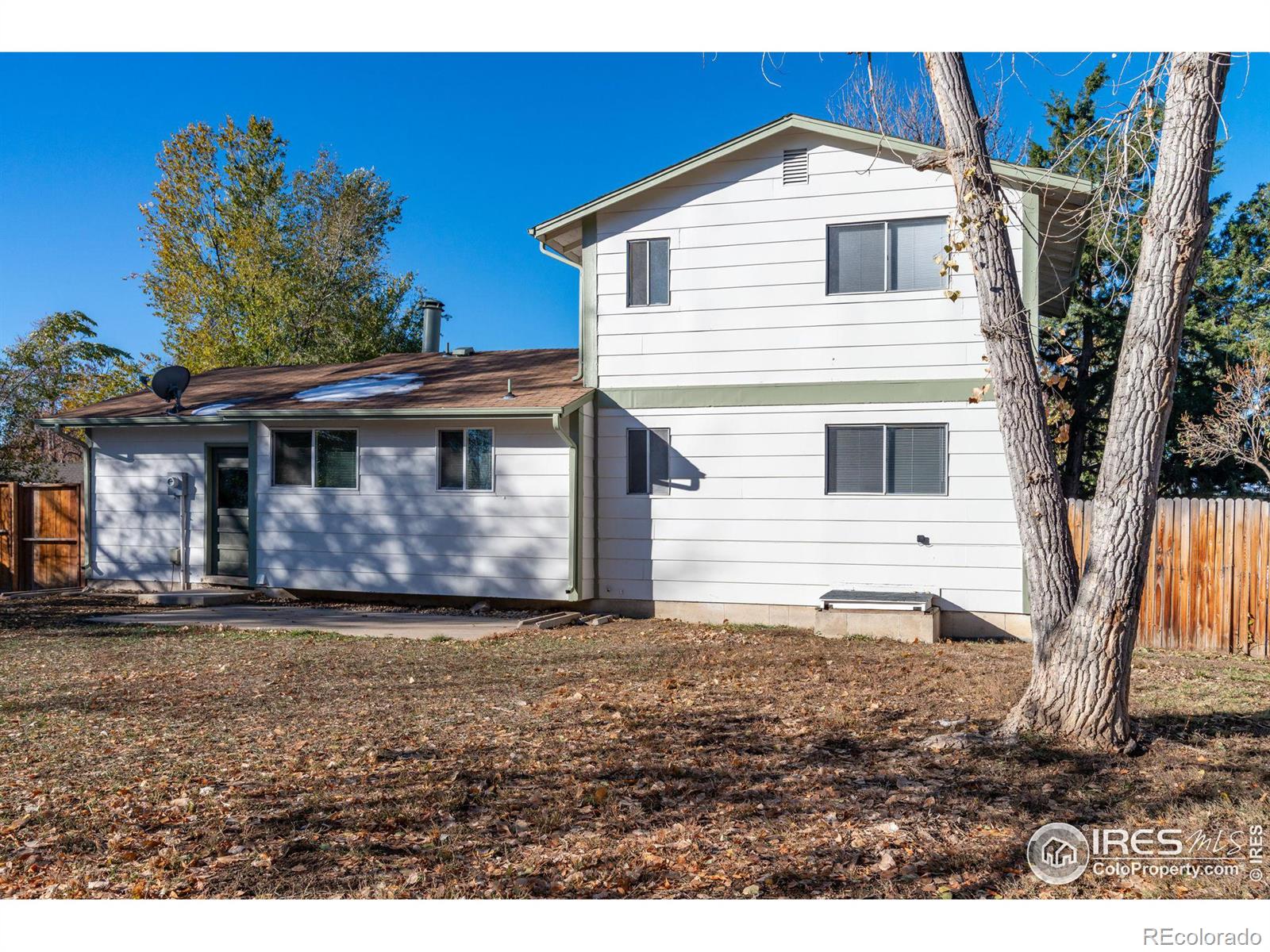 MLS Image #12 for 7452  otis street,arvada, Colorado