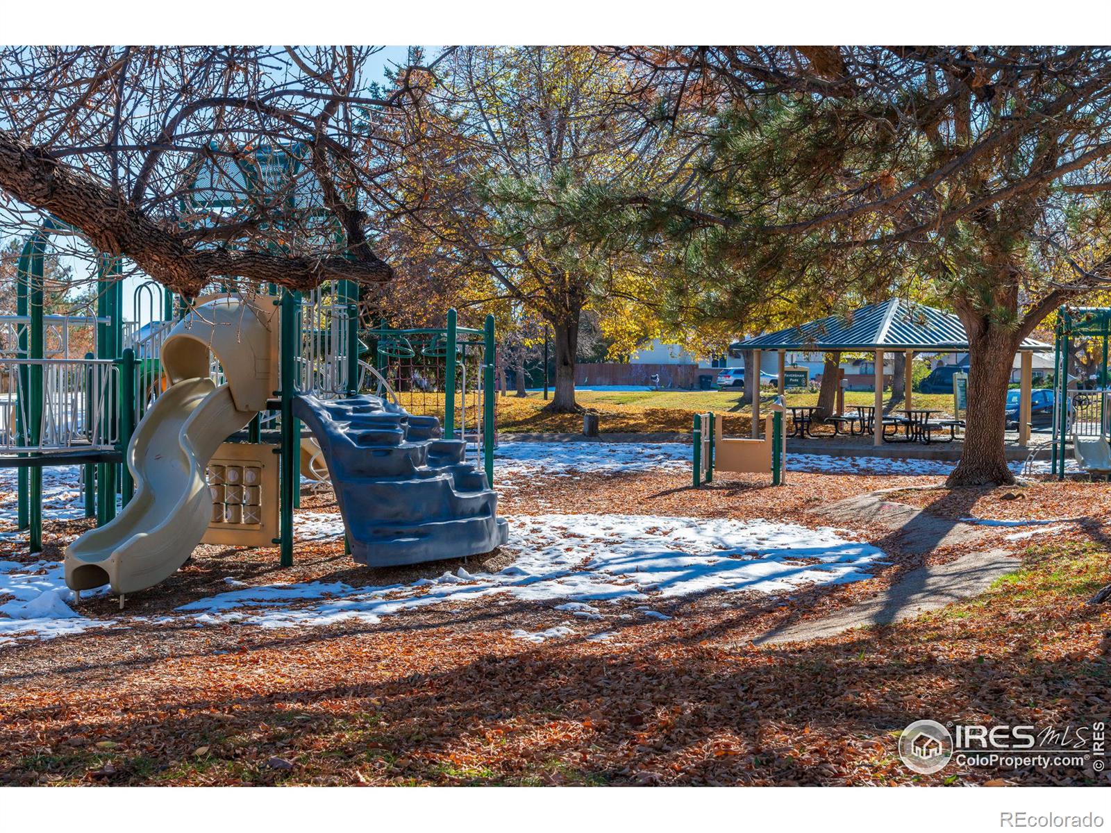 MLS Image #17 for 7452  otis street,arvada, Colorado