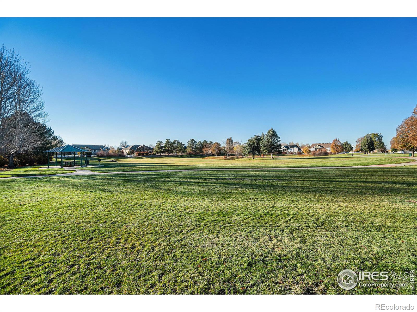 MLS Image #29 for 319  windgate court,johnstown, Colorado