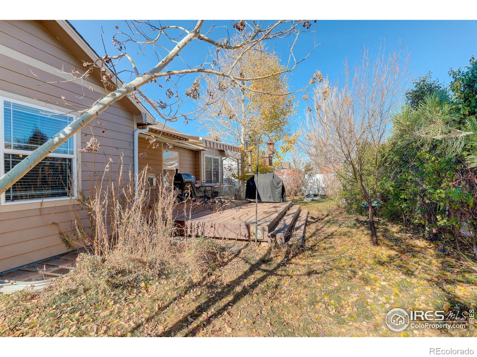 MLS Image #13 for 6848  mcclellan road,wellington, Colorado