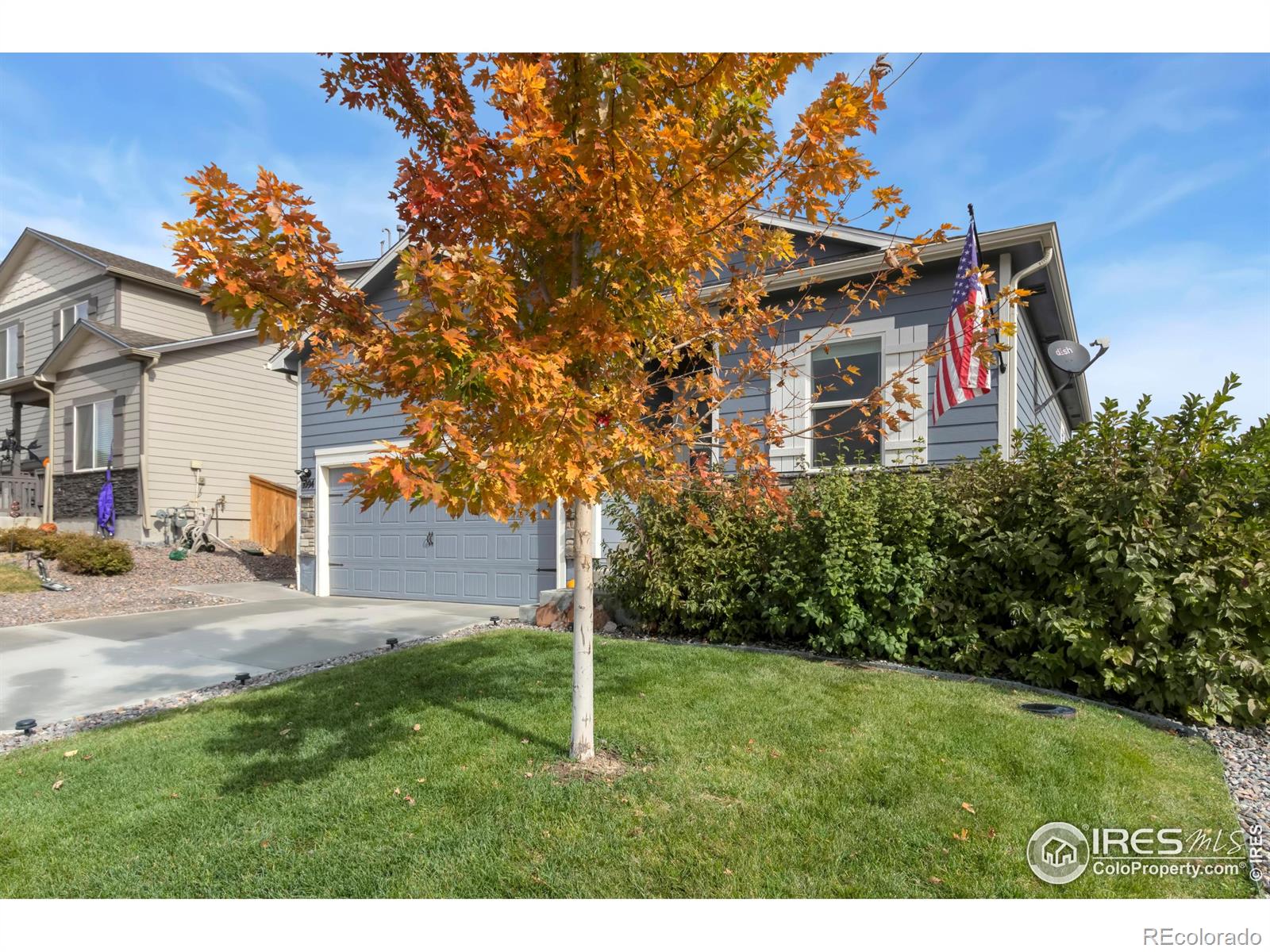 CMA Image for 1094  Long Meadows Street,Severance, Colorado