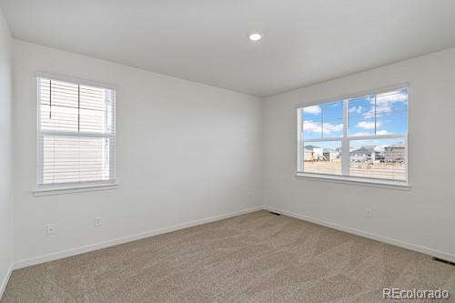 MLS Image #13 for 13602  topaz place,mead, Colorado