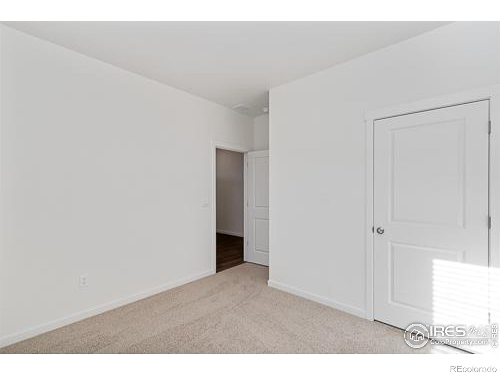 MLS Image #21 for 13602  topaz place,mead, Colorado