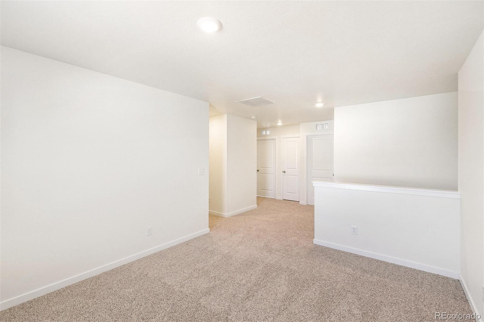 MLS Image #19 for 13607  topaz place,mead, Colorado