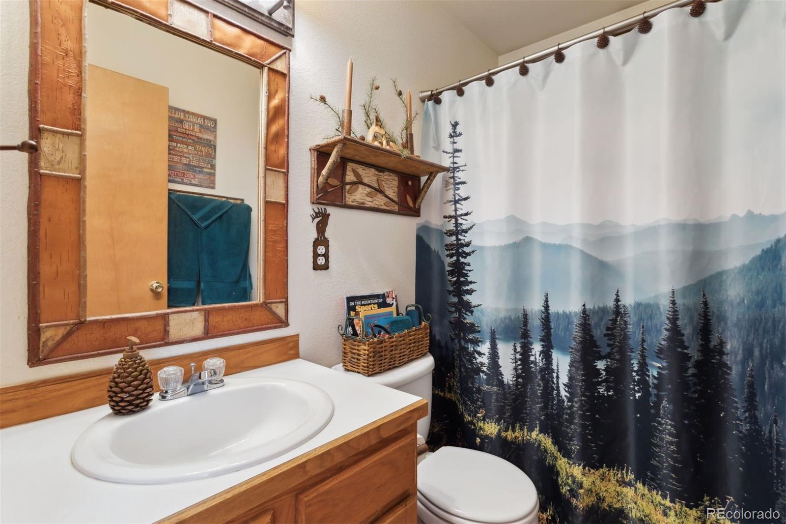 MLS Image #20 for 4055  omer lane,divide, Colorado