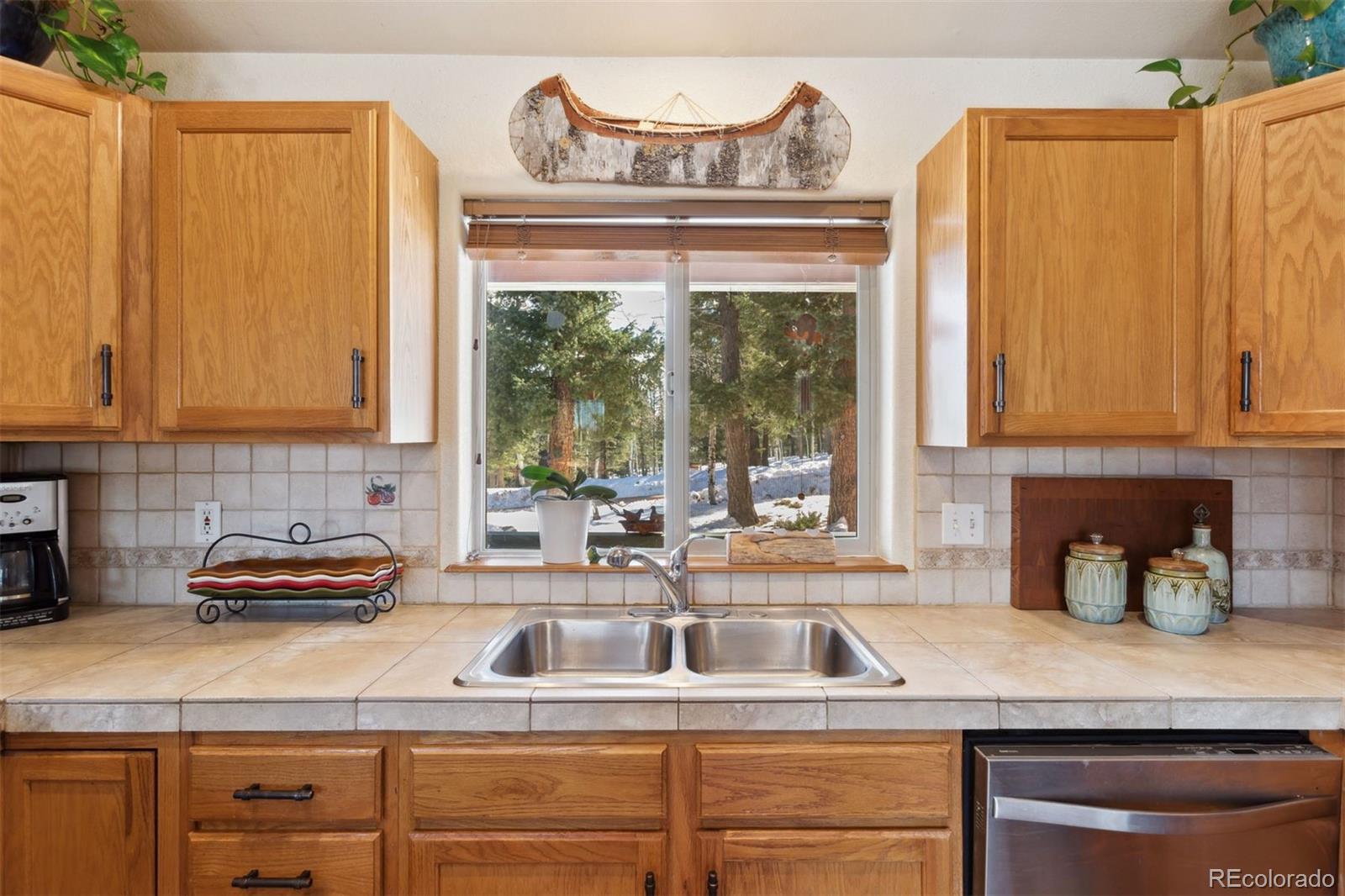 MLS Image #7 for 4055  omer lane,divide, Colorado