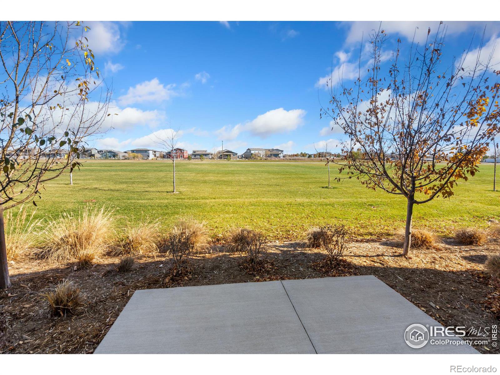 MLS Image #16 for 3690  ronald reagan avenue,wellington, Colorado