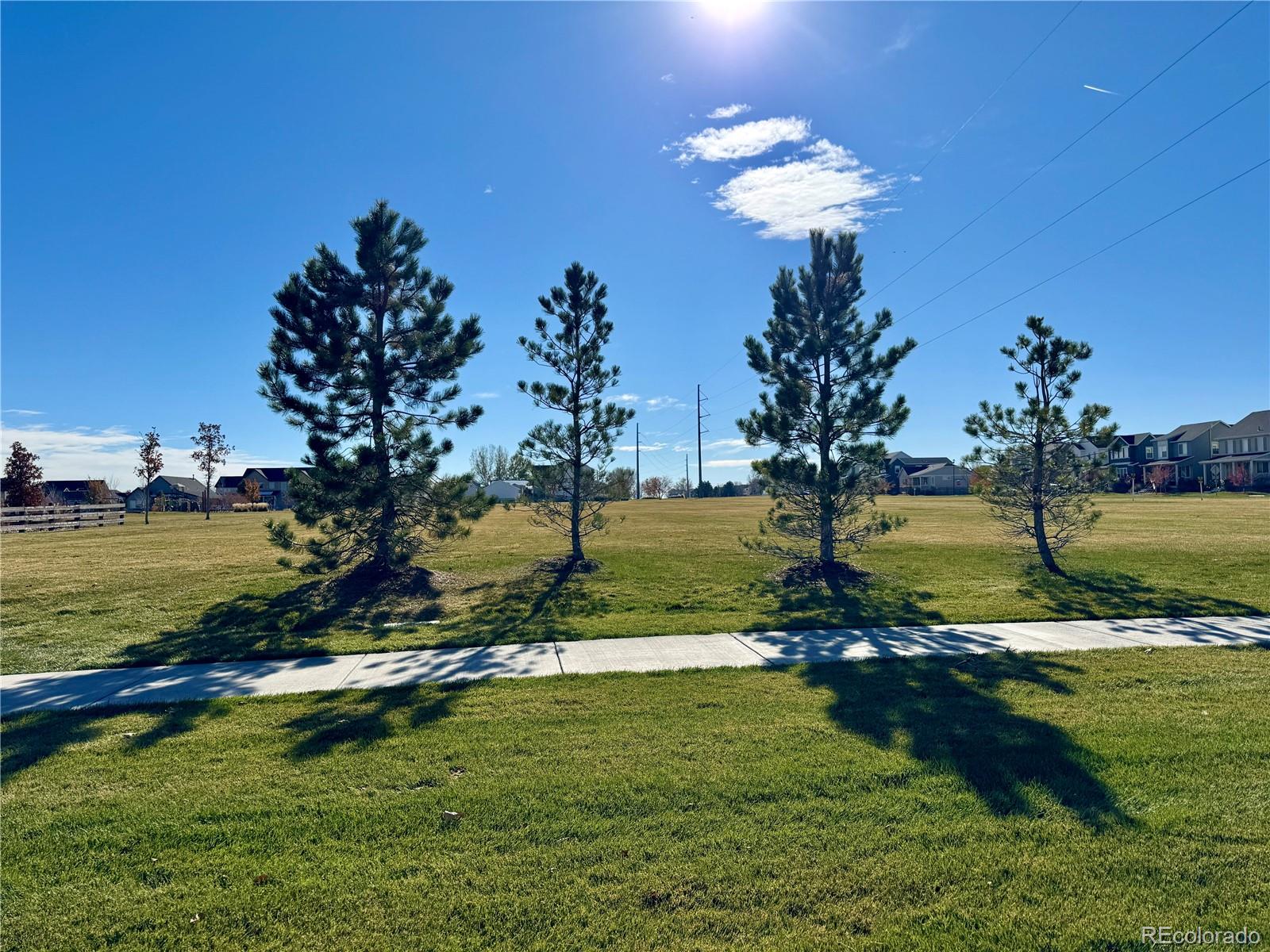 MLS Image #37 for 4665  crestone peak street,brighton, Colorado