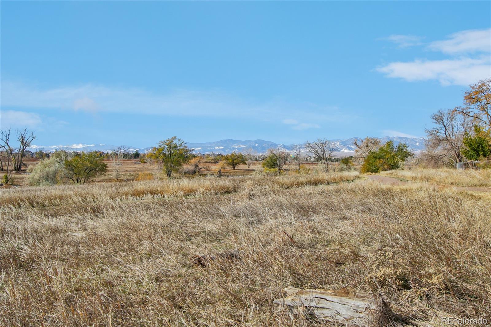 MLS Image #31 for 10000  ames street,westminster, Colorado