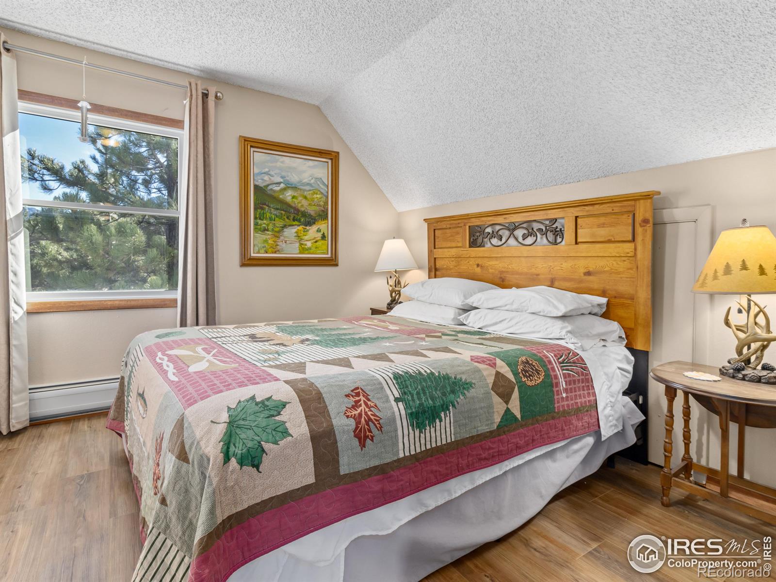 MLS Image #29 for 1430  gem lane,estes park, Colorado