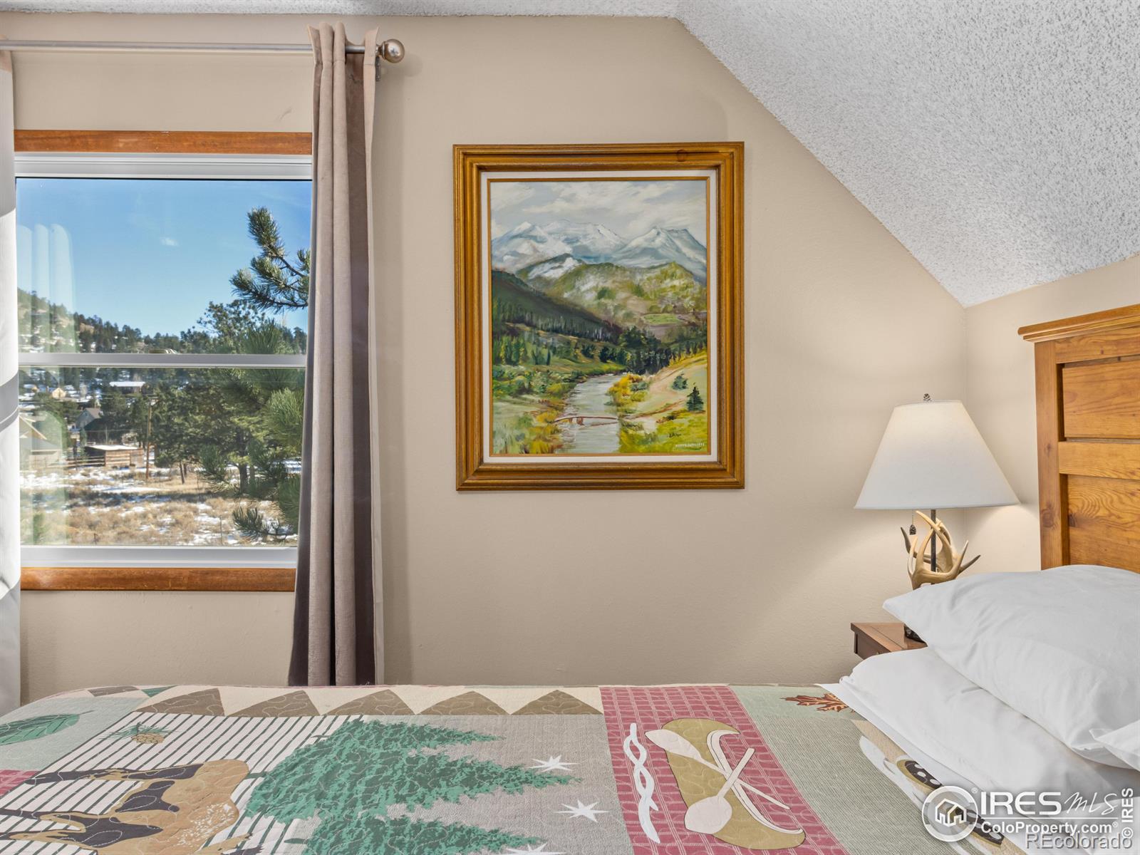 MLS Image #30 for 1430  gem lane,estes park, Colorado