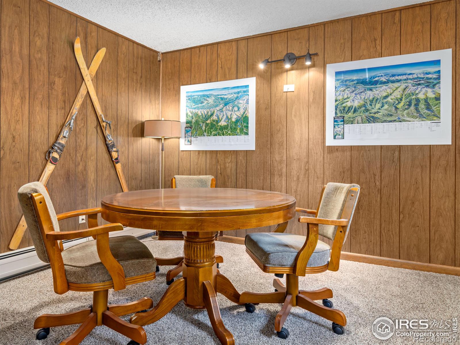 MLS Image #33 for 1430  gem lane,estes park, Colorado