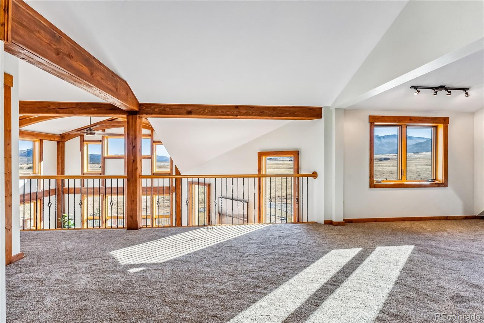 MLS Image #25 for 32220  county road 361 ,buena vista, Colorado