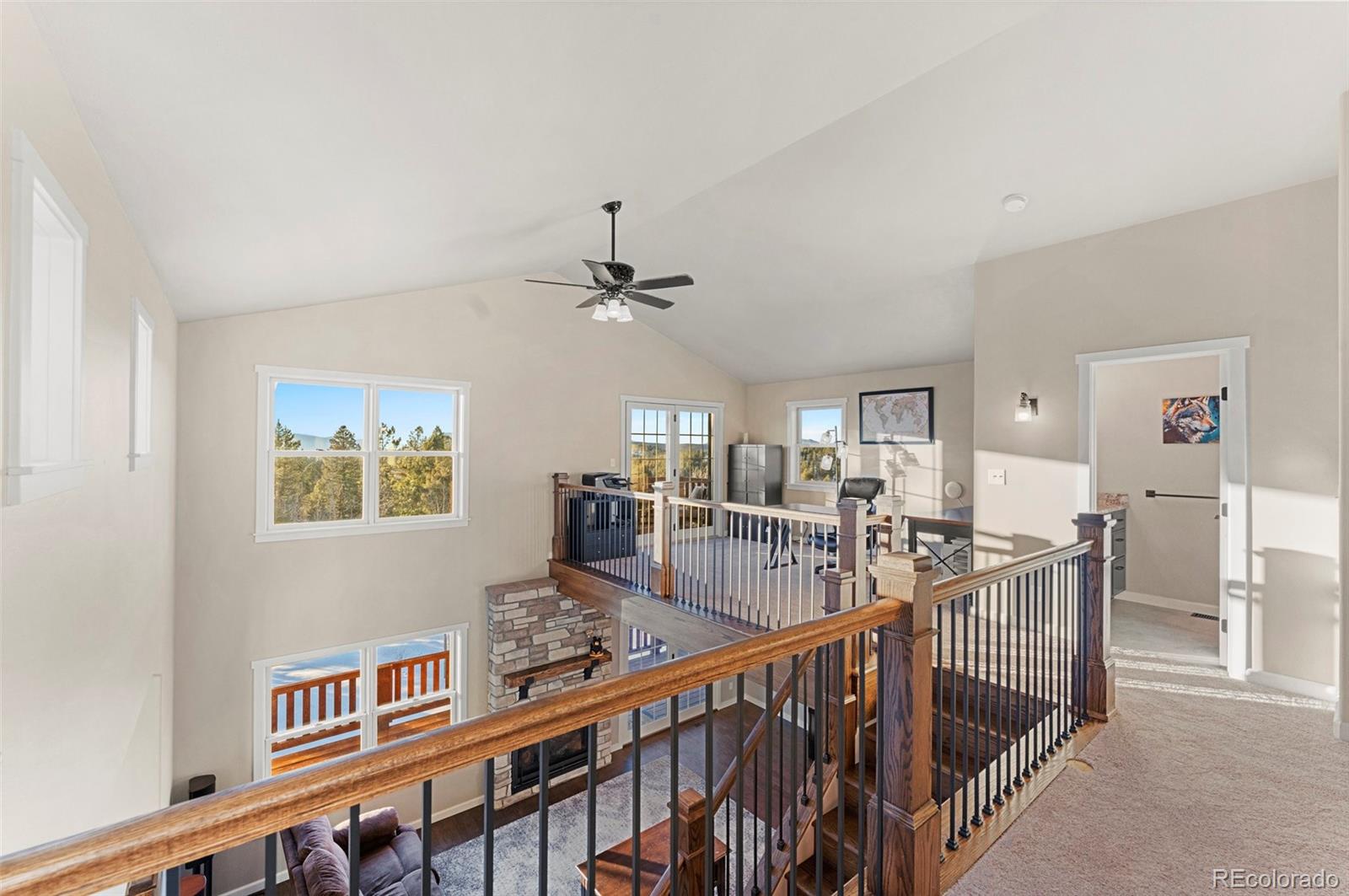 MLS Image #17 for 507  spruce lake drive,divide, Colorado