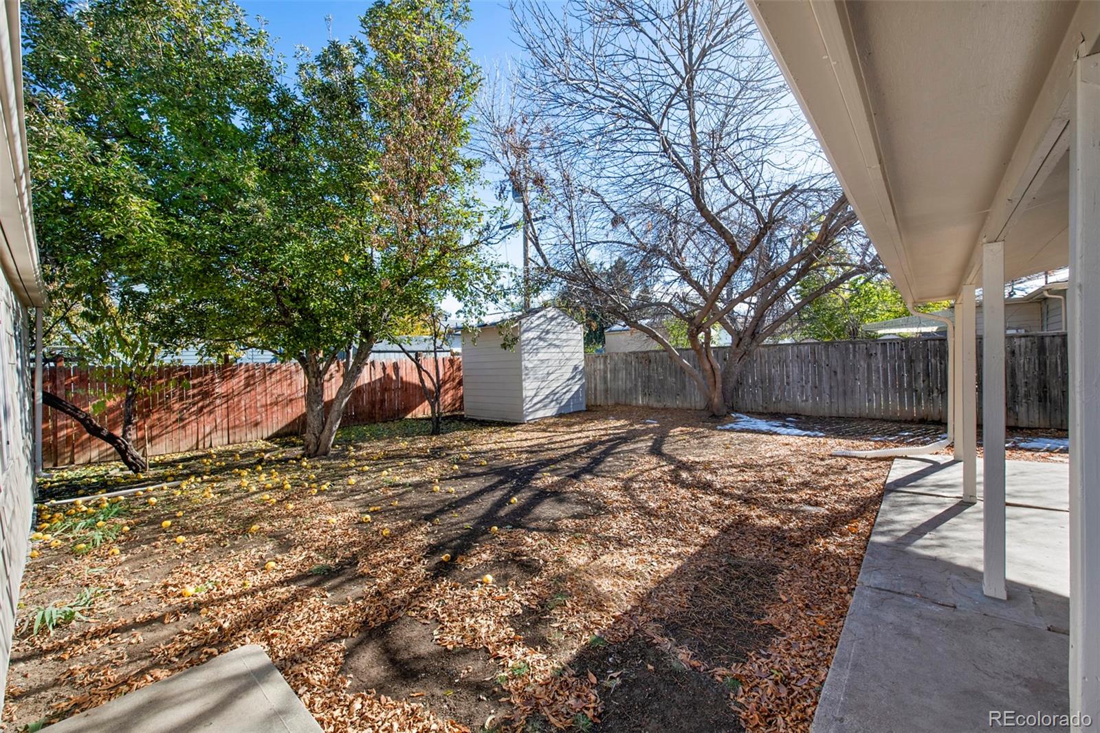 MLS Image #19 for 780  iola street,aurora, Colorado