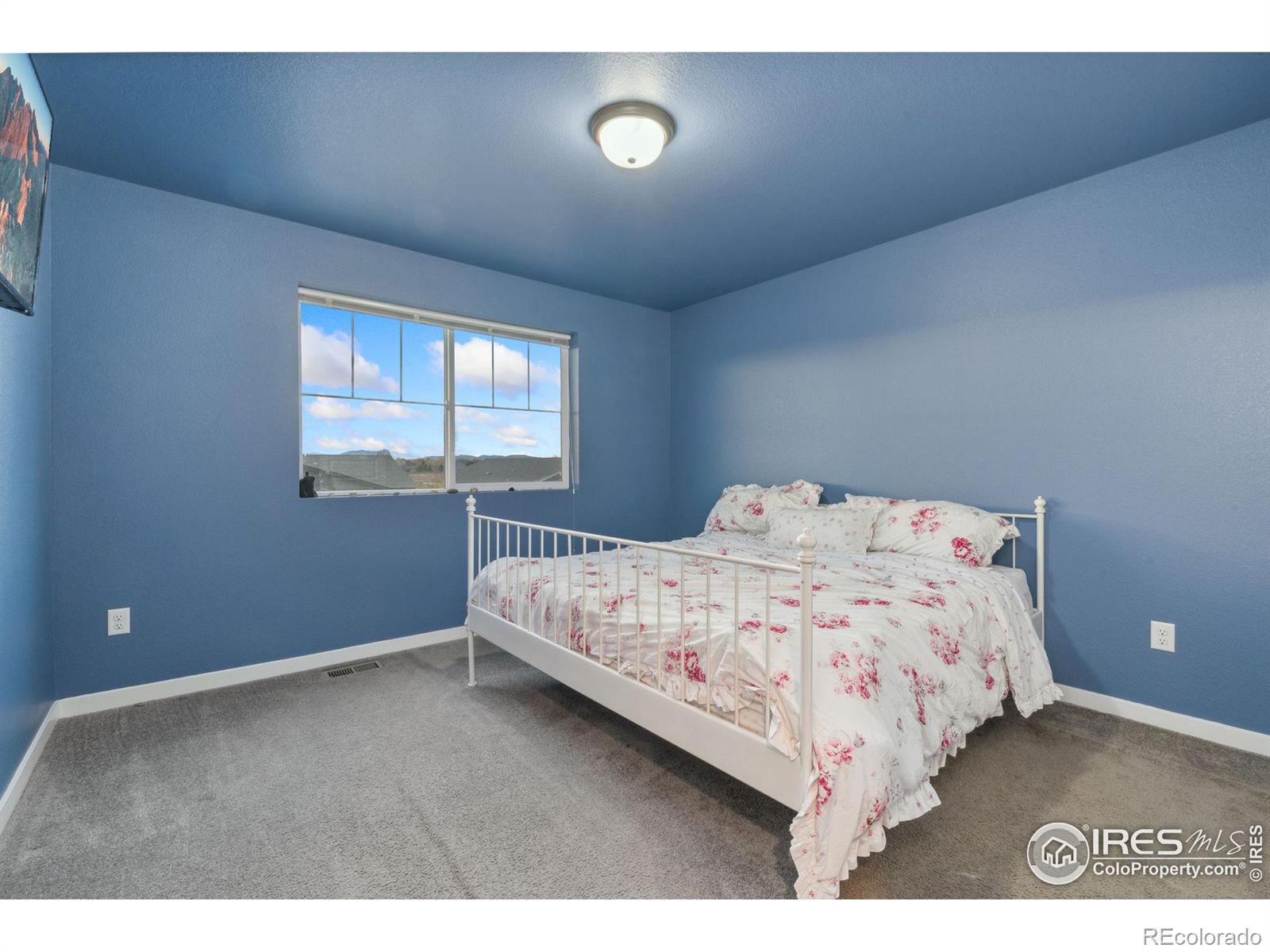 MLS Image #21 for 7308  horsechestnut street,wellington, Colorado