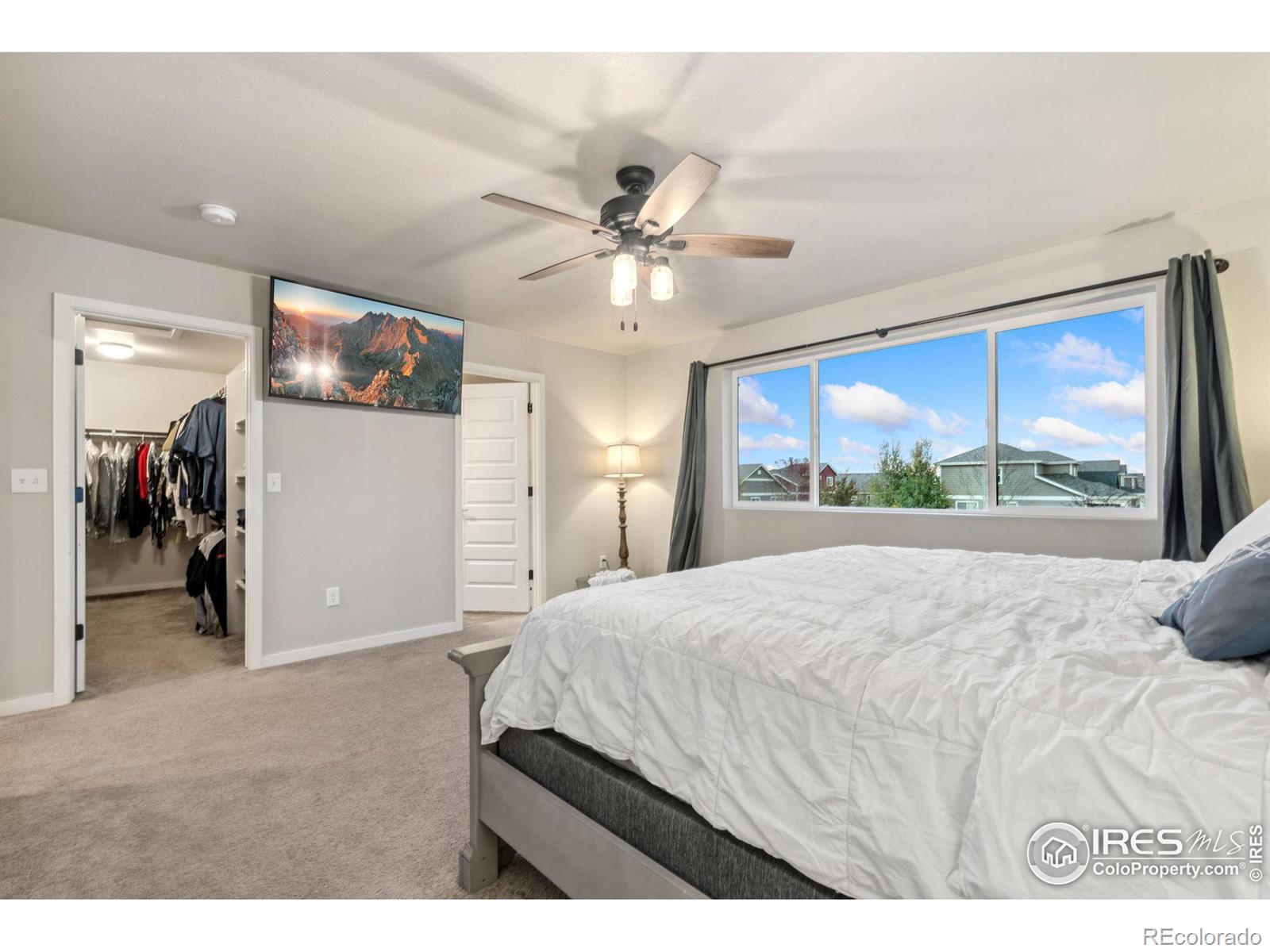 MLS Image #25 for 7308  horsechestnut street,wellington, Colorado