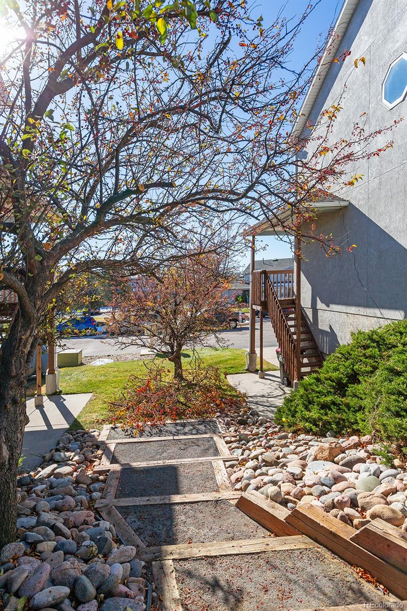 MLS Image #31 for 957  brant hollow court ,colorado springs, Colorado