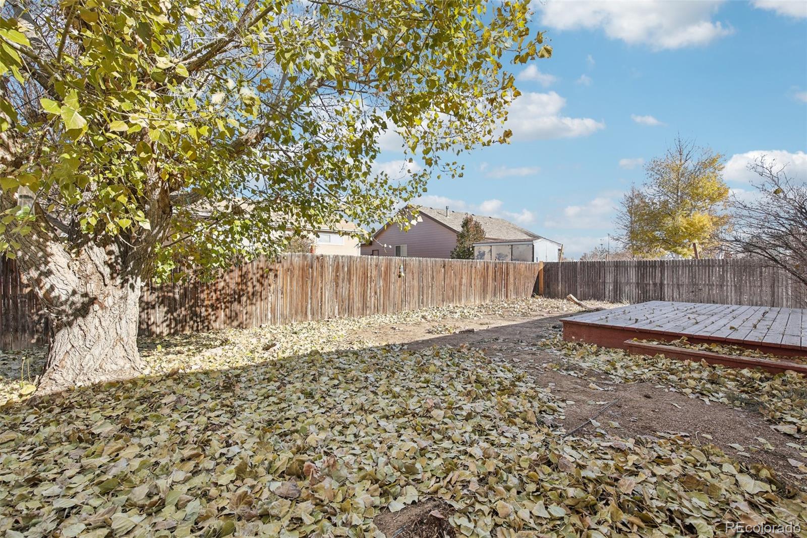 MLS Image #24 for 447  la costa lane,johnstown, Colorado