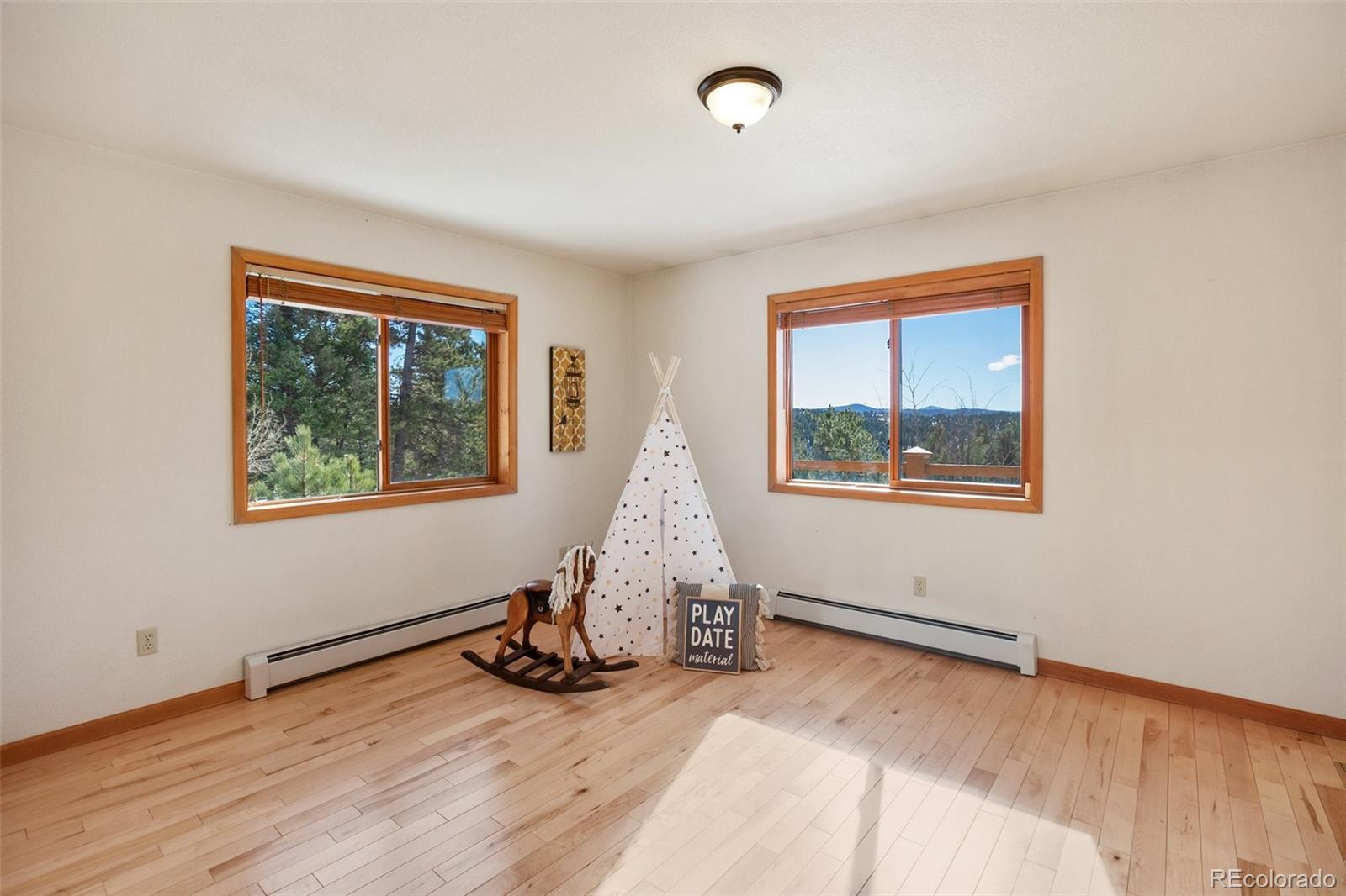 MLS Image #21 for 4155  cedar mountain road,divide, Colorado