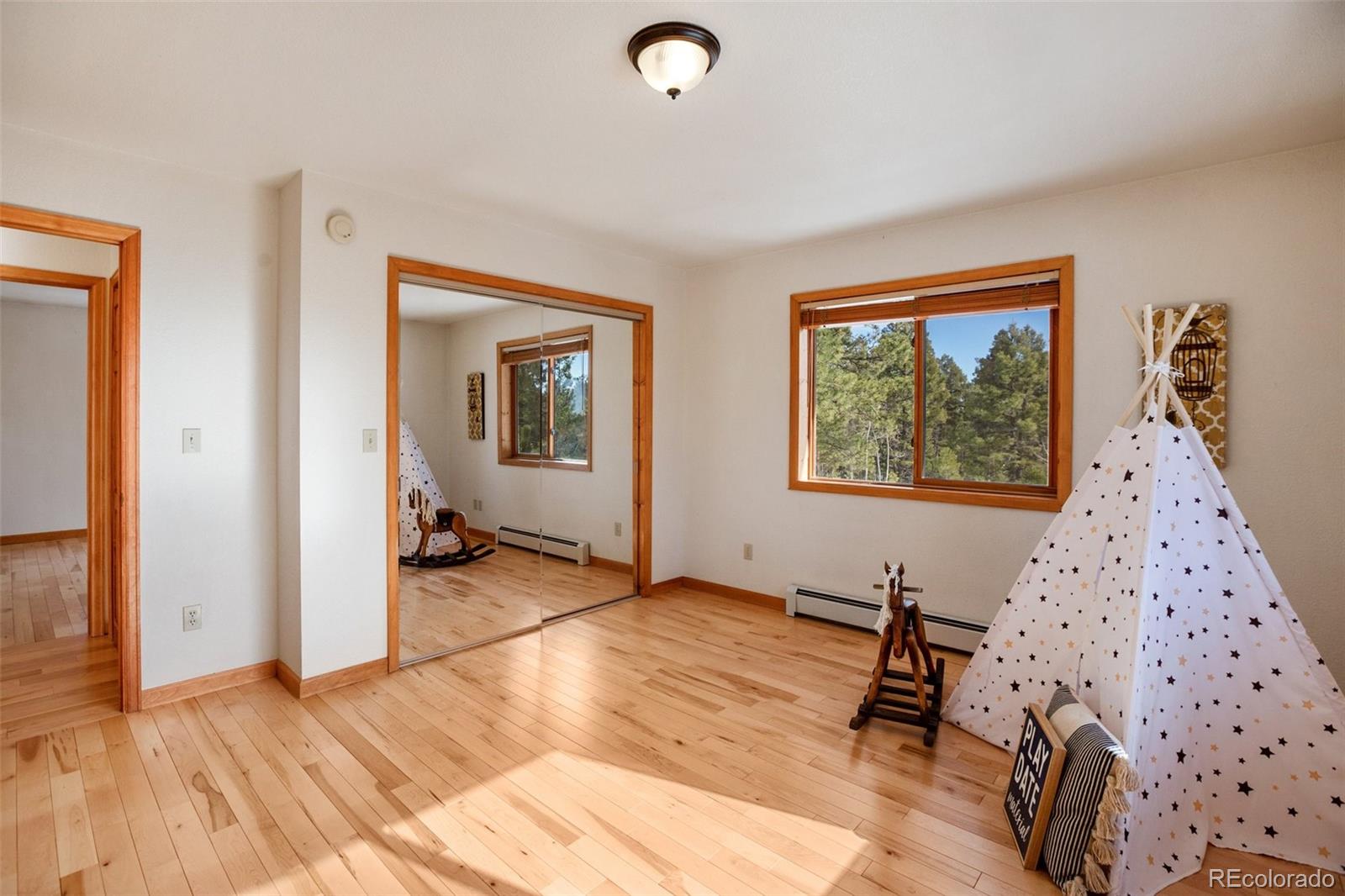 MLS Image #22 for 4155  cedar mountain road,divide, Colorado