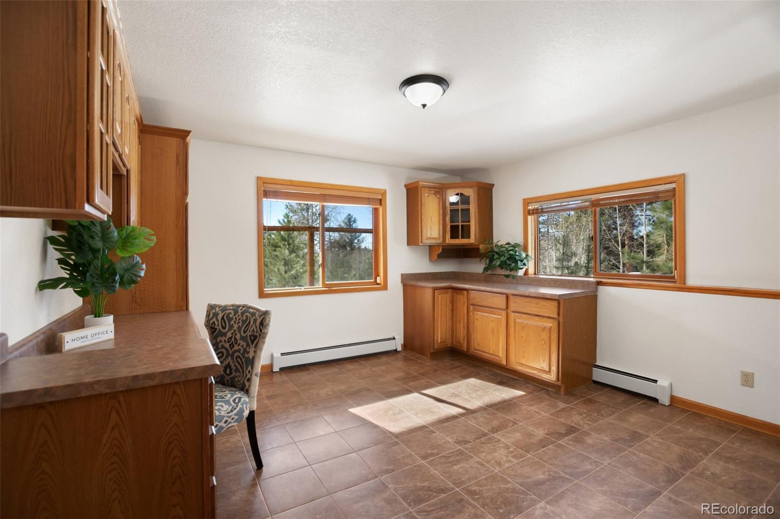 MLS Image #29 for 4155  cedar mountain road,divide, Colorado