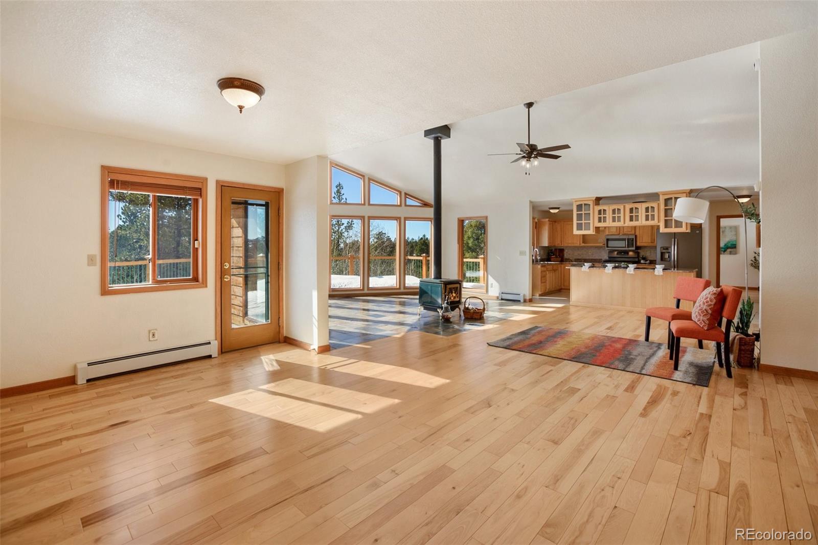 MLS Image #3 for 4155  cedar mountain road,divide, Colorado