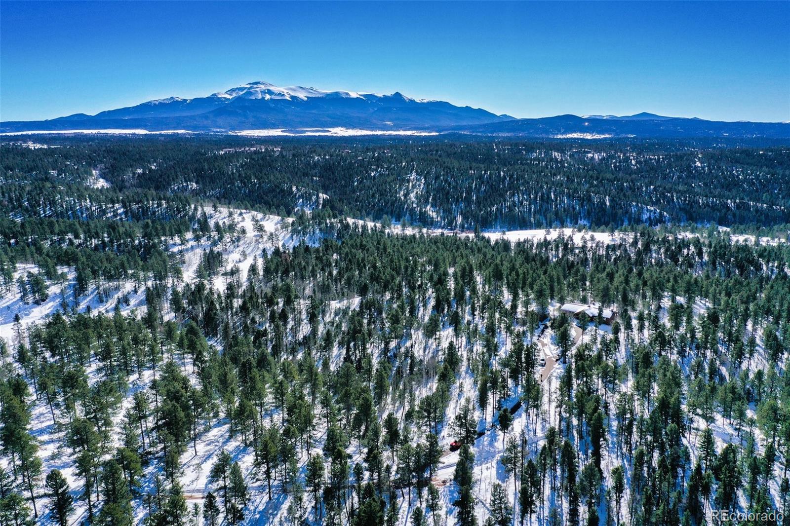 MLS Image #40 for 4155  cedar mountain road,divide, Colorado