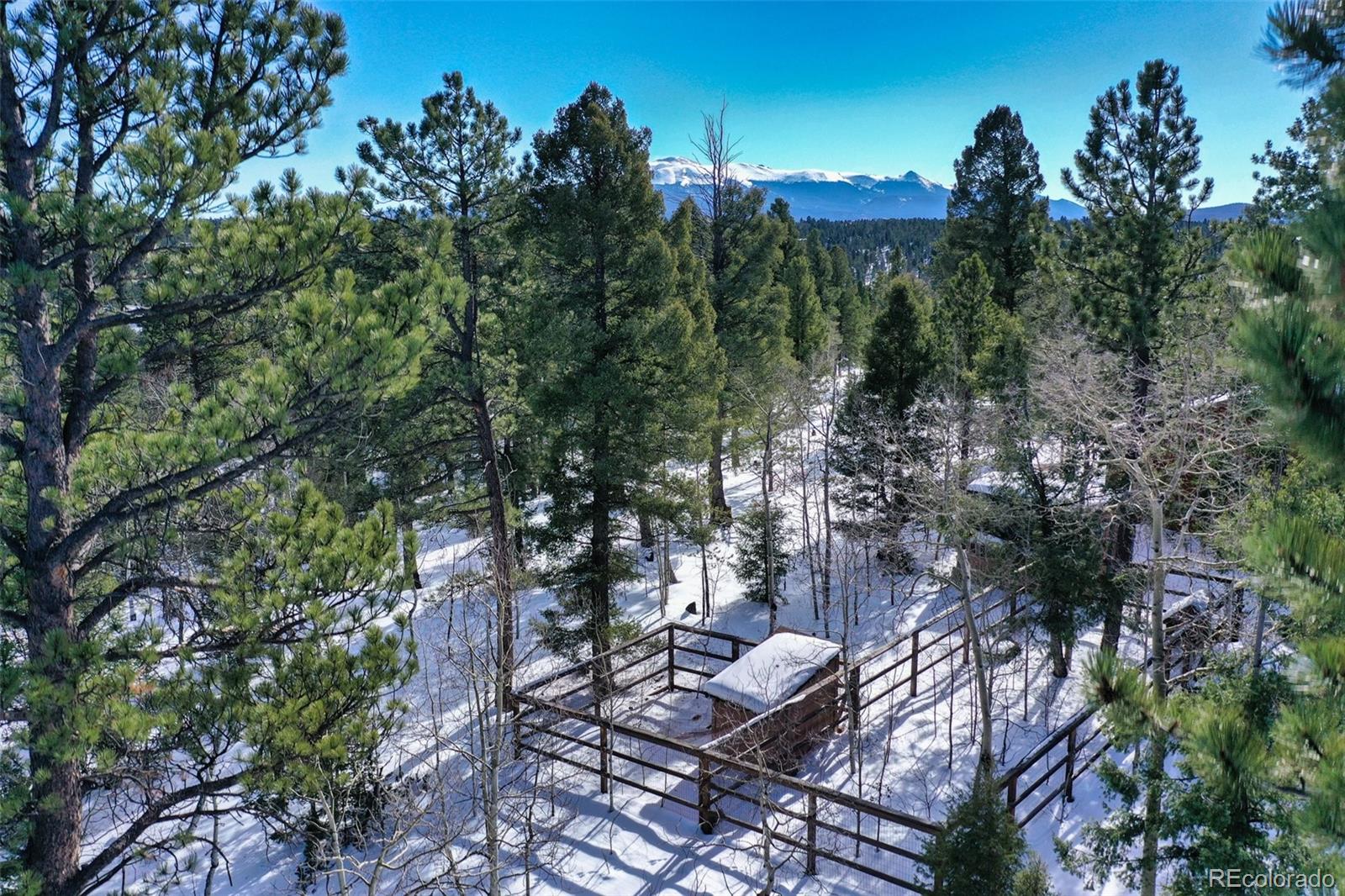 MLS Image #42 for 4155  cedar mountain road,divide, Colorado