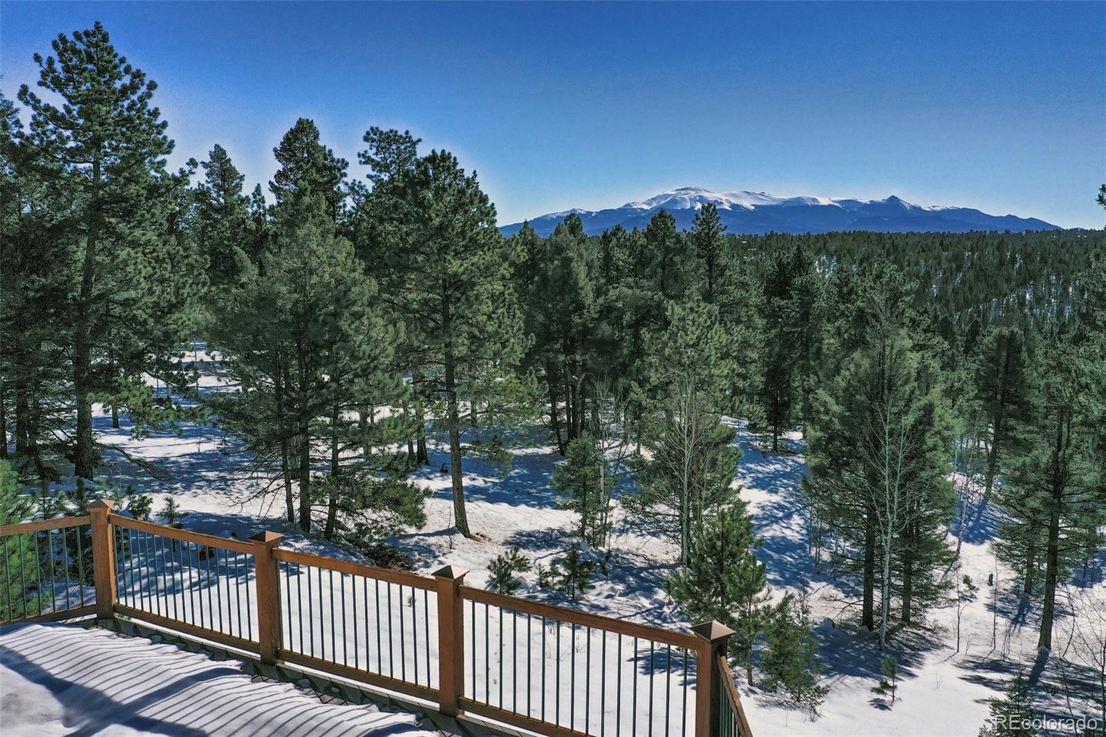 MLS Image #5 for 4155  cedar mountain road,divide, Colorado