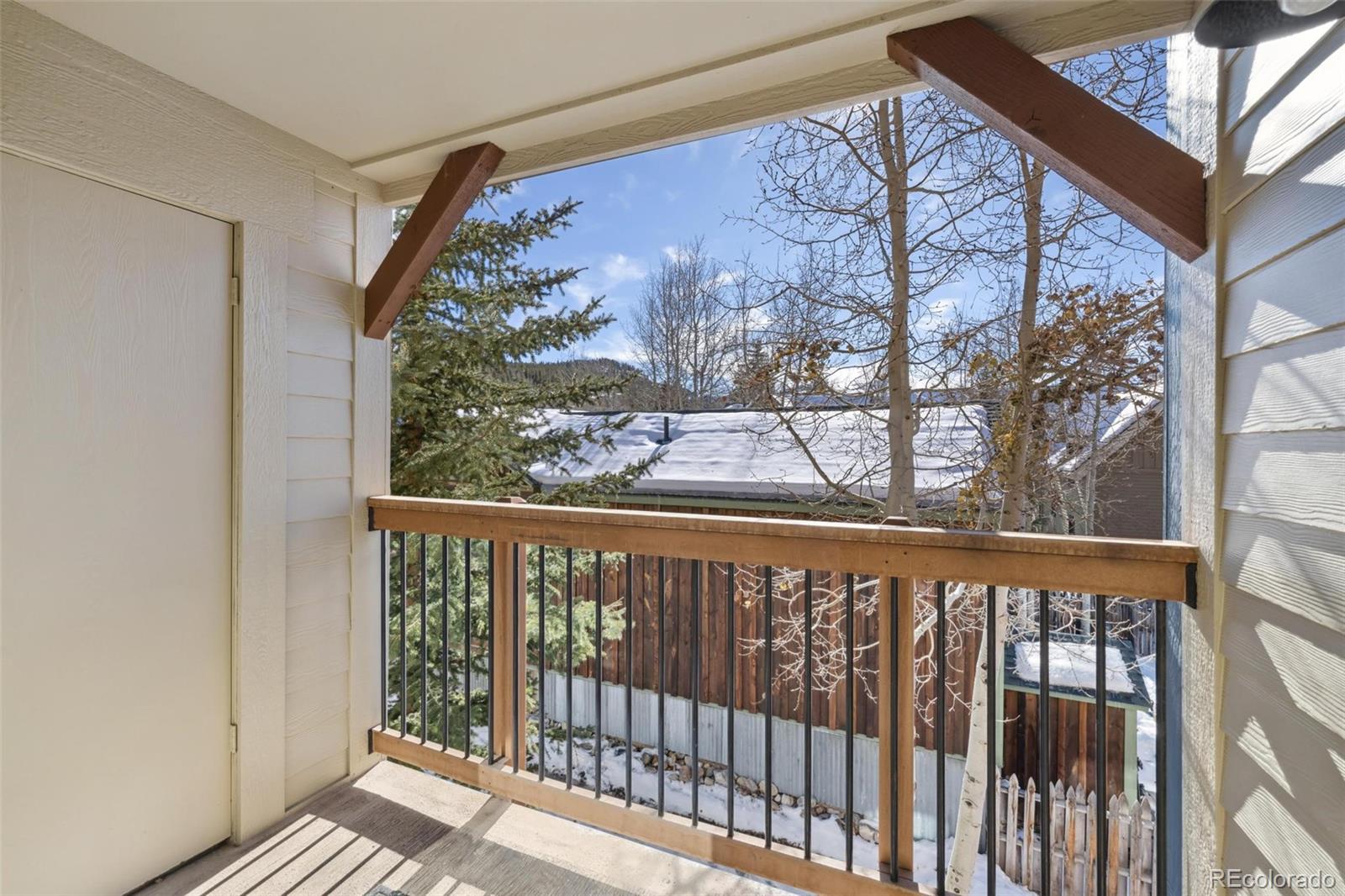 MLS Image #18 for 107 n harris street,breckenridge, Colorado