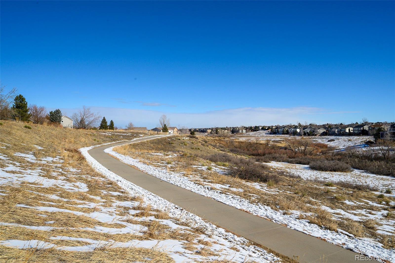 MLS Image #31 for 10392  tracewood drive,highlands ranch, Colorado