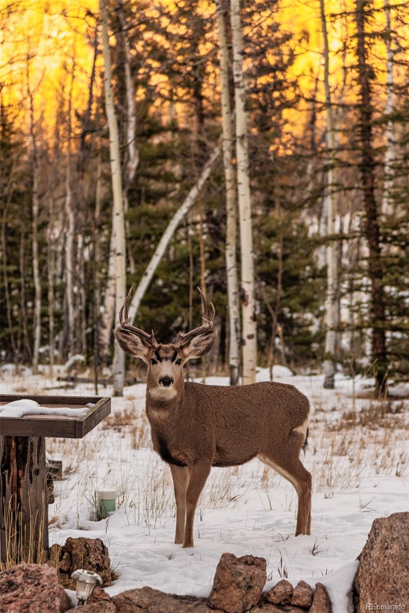 MLS Image #31 for 143  ute court,como, Colorado