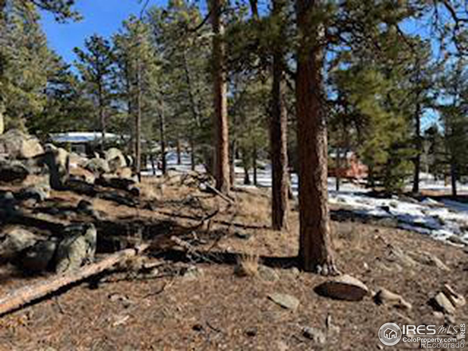 MLS Image #5 for 73  onawa way,red feather lakes, Colorado