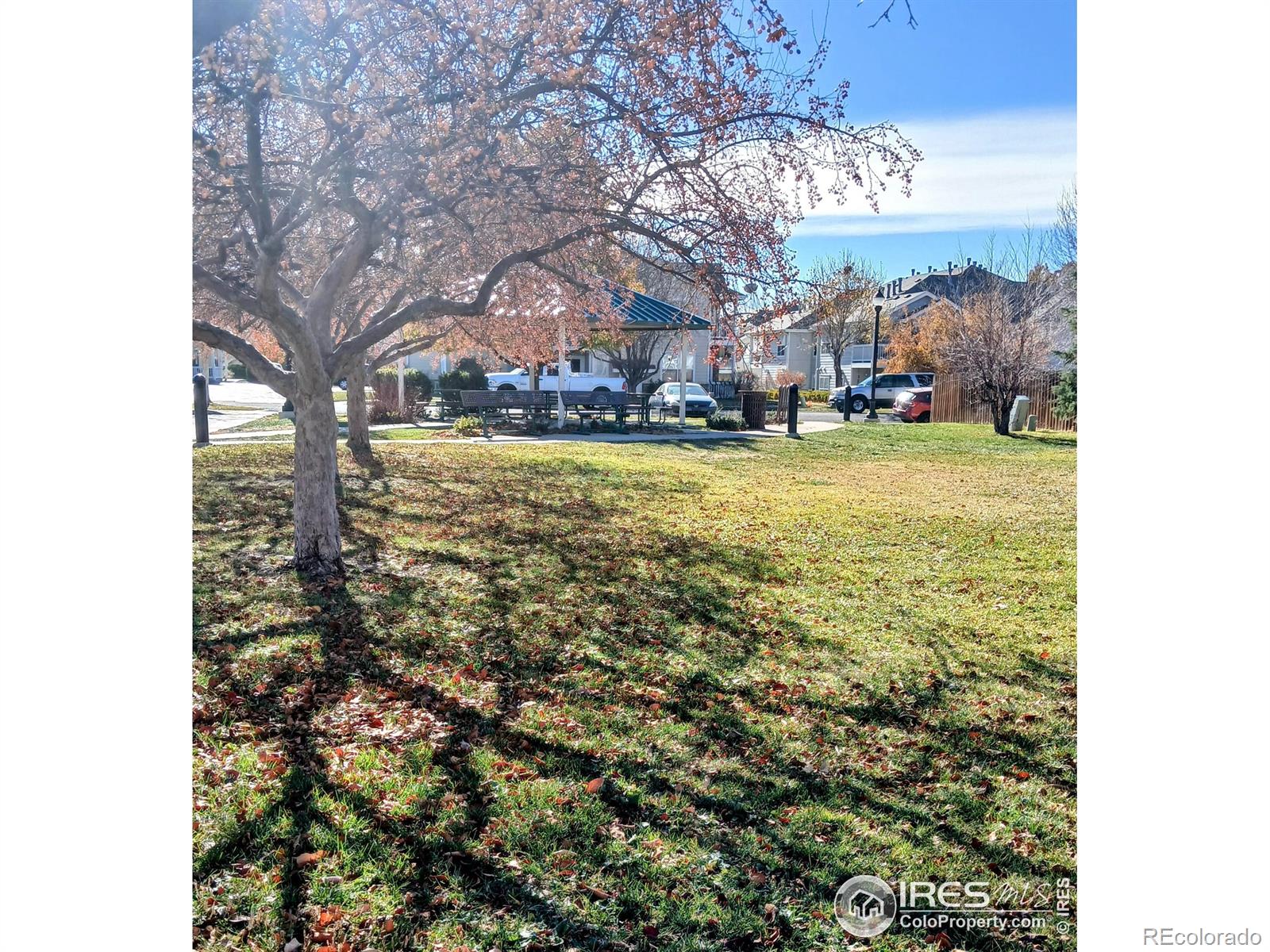MLS Image #19 for 3654  ponderosa court,evans, Colorado