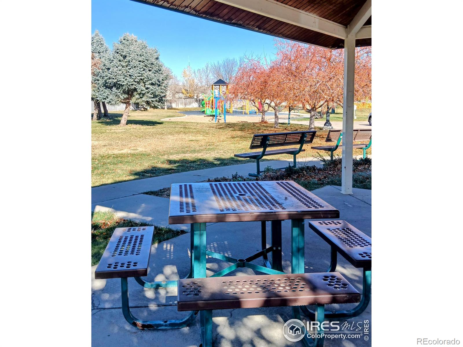 MLS Image #20 for 3654  ponderosa court,evans, Colorado