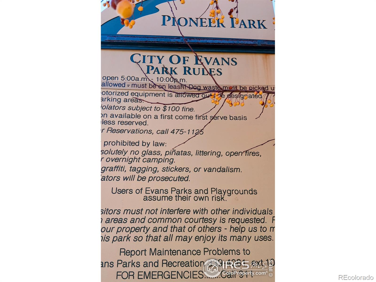 MLS Image #33 for 3654  ponderosa court,evans, Colorado