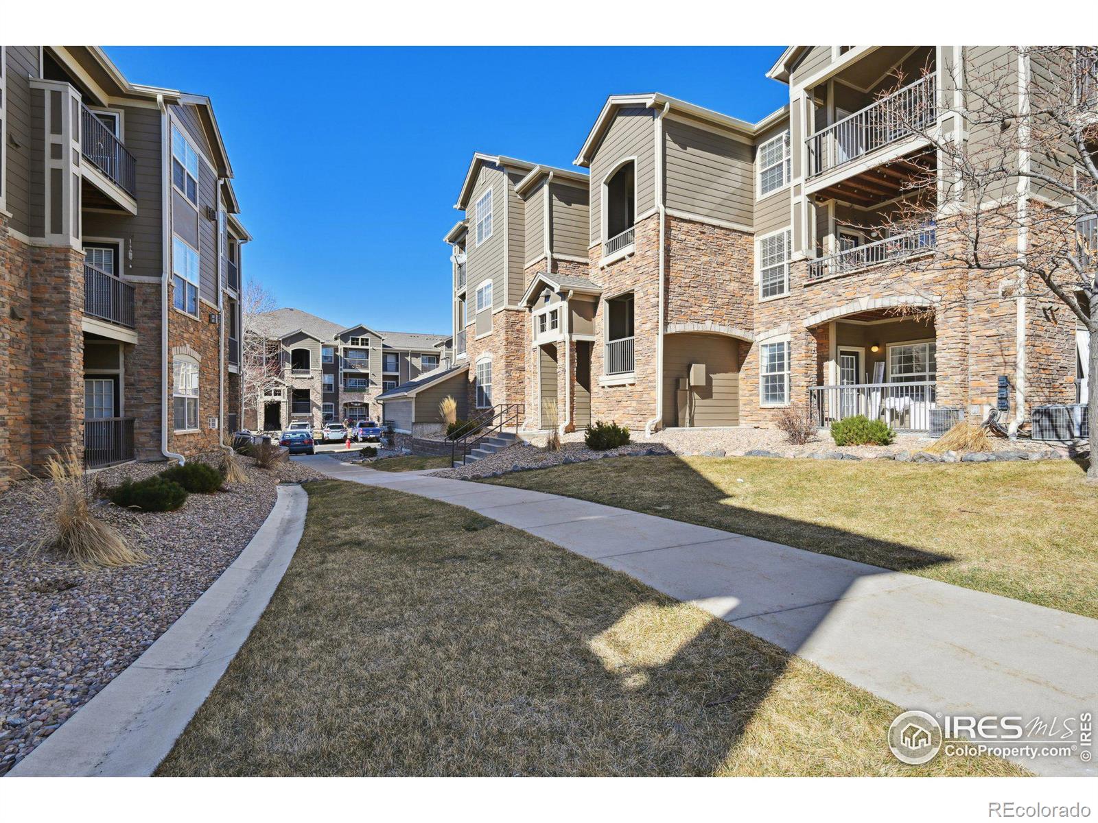 MLS Image #11 for 3000  blue sky circle 108,erie, Colorado