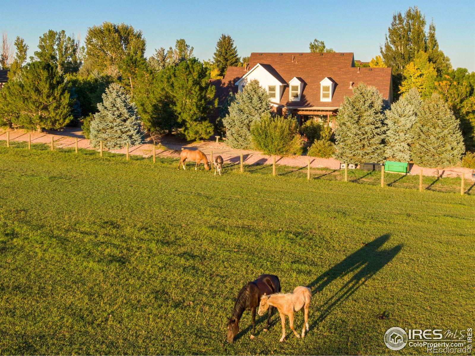 MLS Image #3 for 7755  valleyview circle,windsor, Colorado