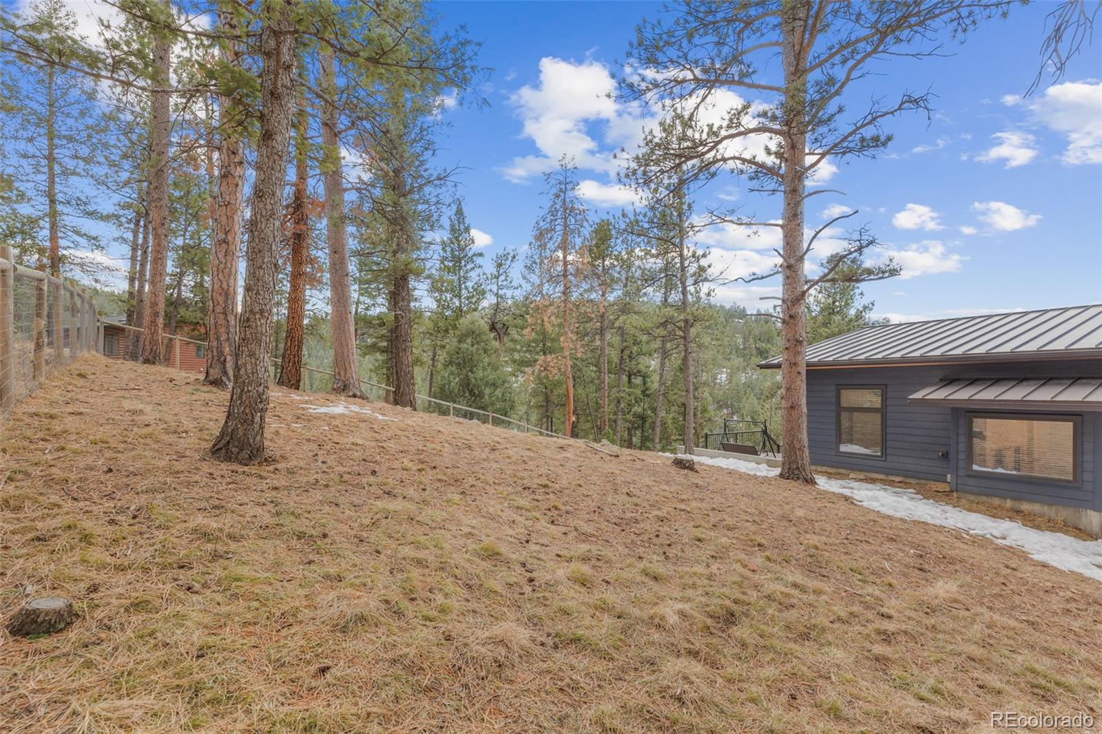 MLS Image #36 for 4497  independence trail,evergreen, Colorado