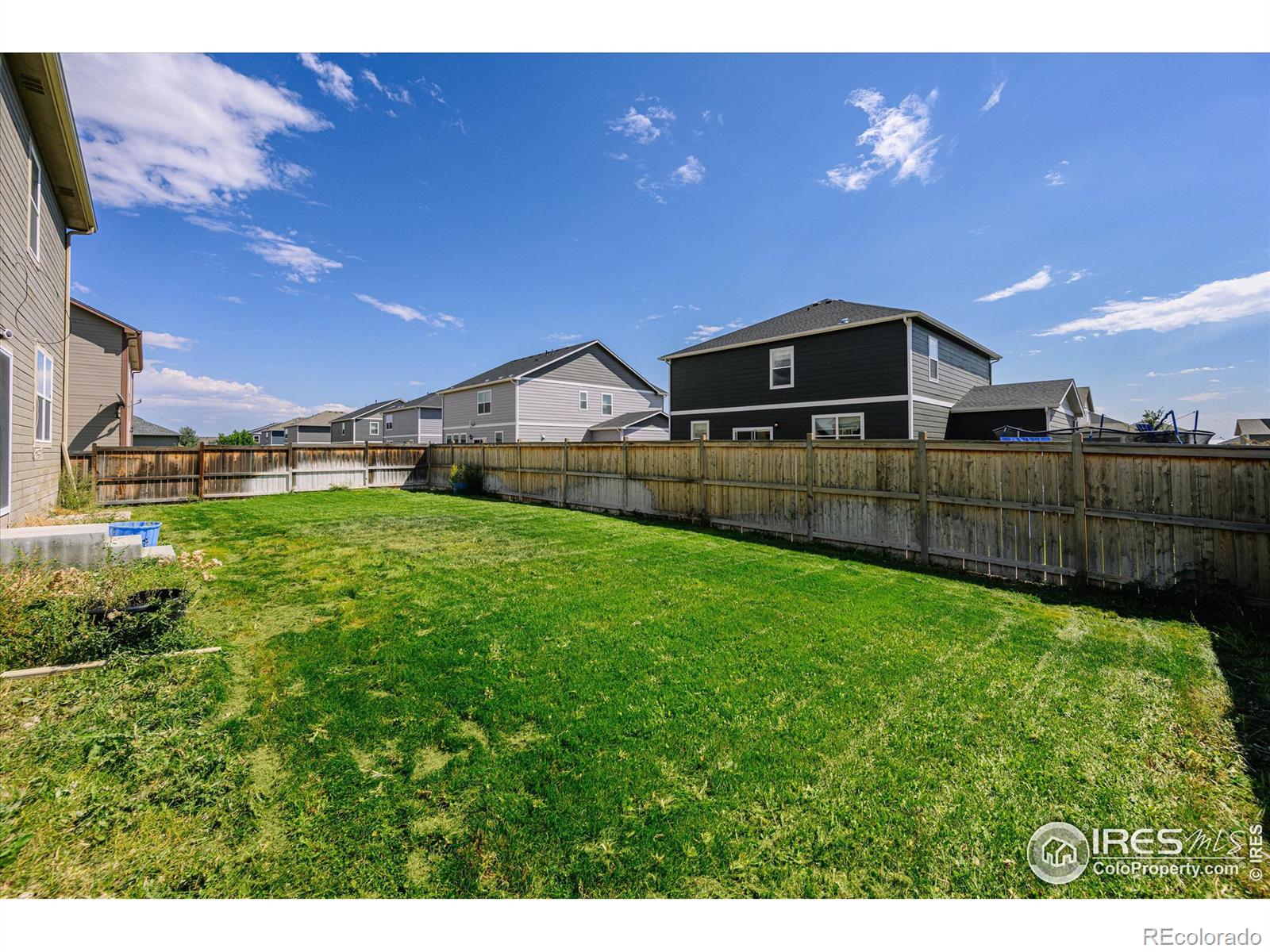 MLS Image #36 for 3623  torch lily street,wellington, Colorado