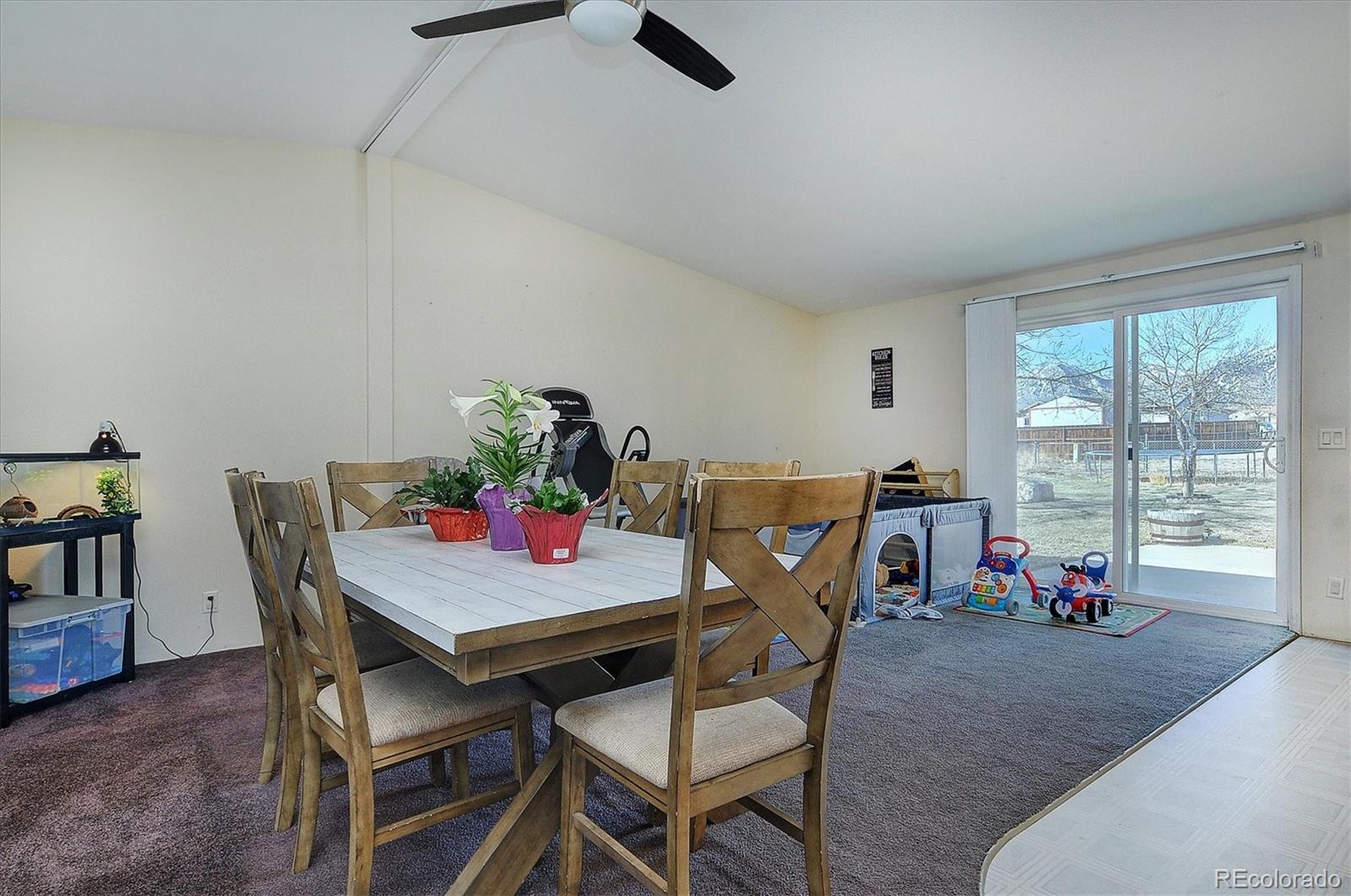 MLS Image #11 for 164  robert drive,buena vista, Colorado