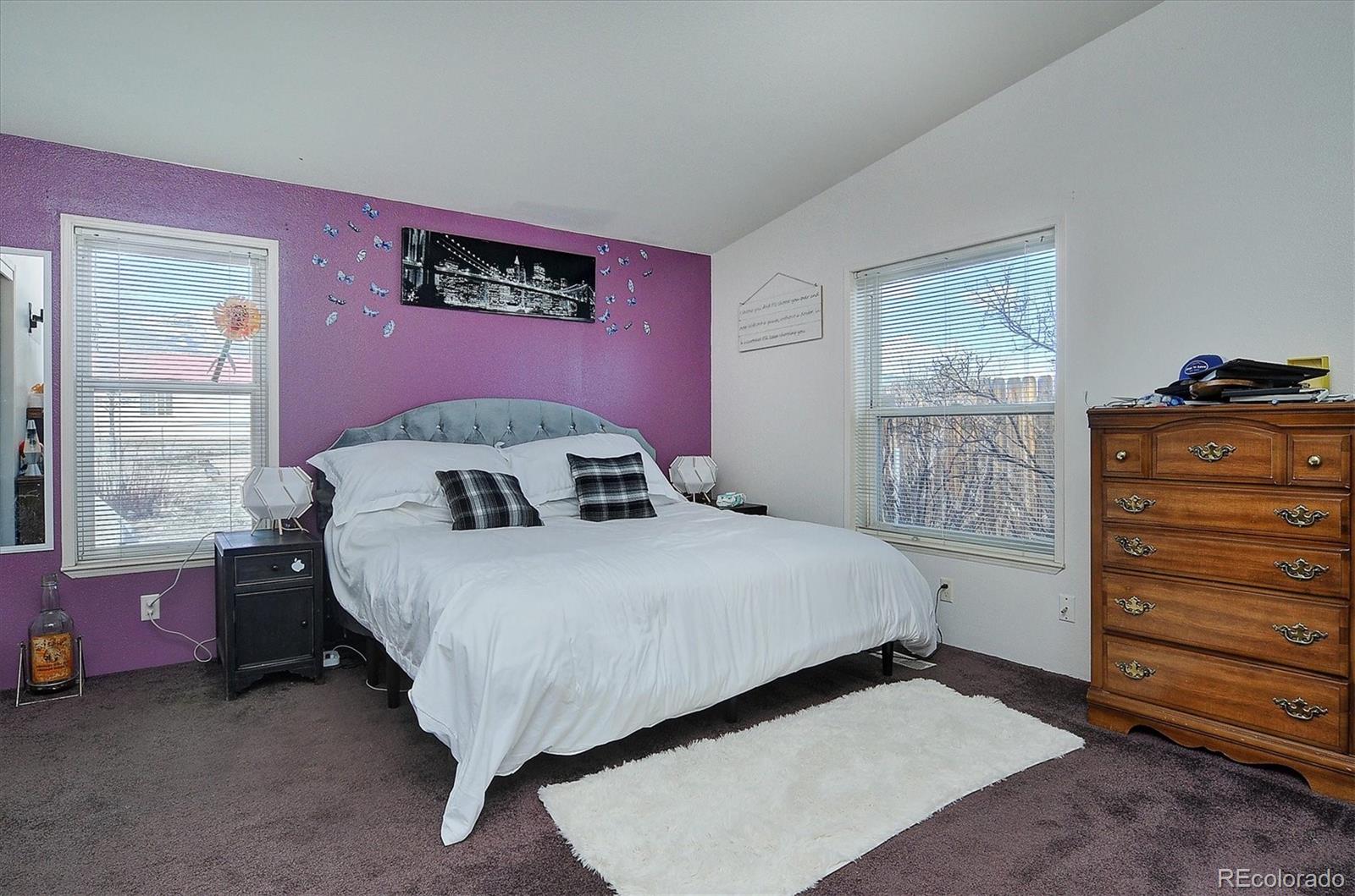 MLS Image #19 for 164  robert drive,buena vista, Colorado