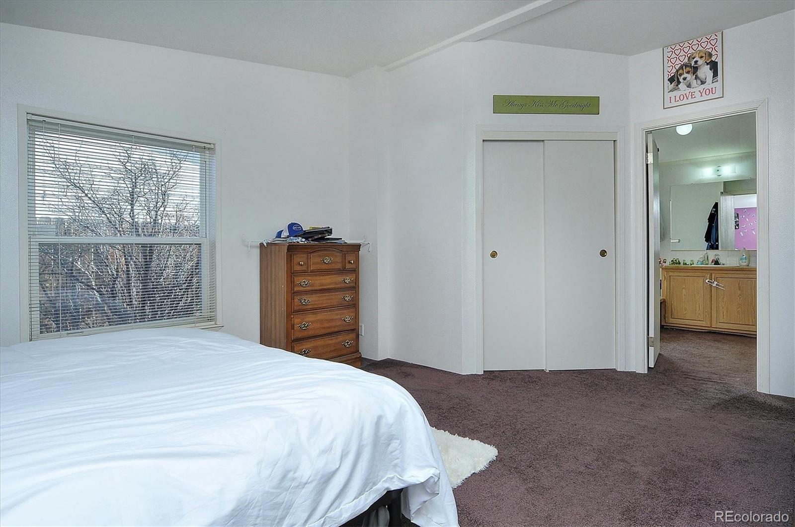 MLS Image #20 for 164  robert drive,buena vista, Colorado