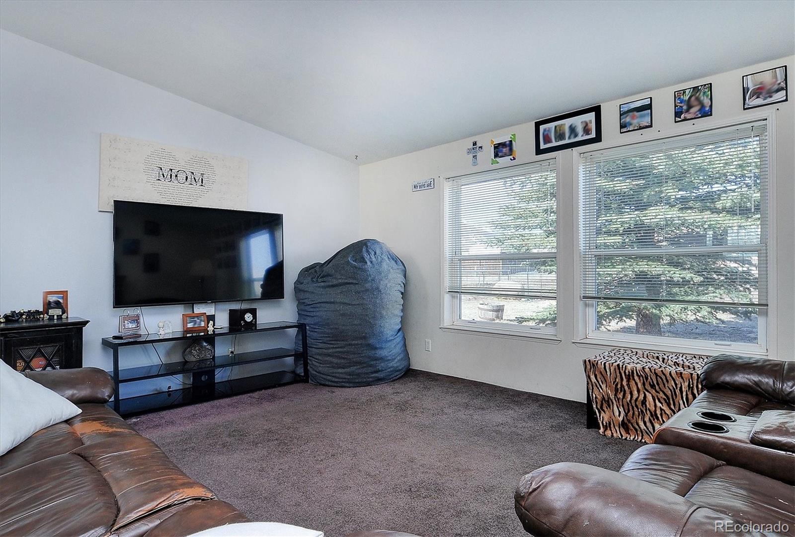 MLS Image #5 for 164  robert drive,buena vista, Colorado