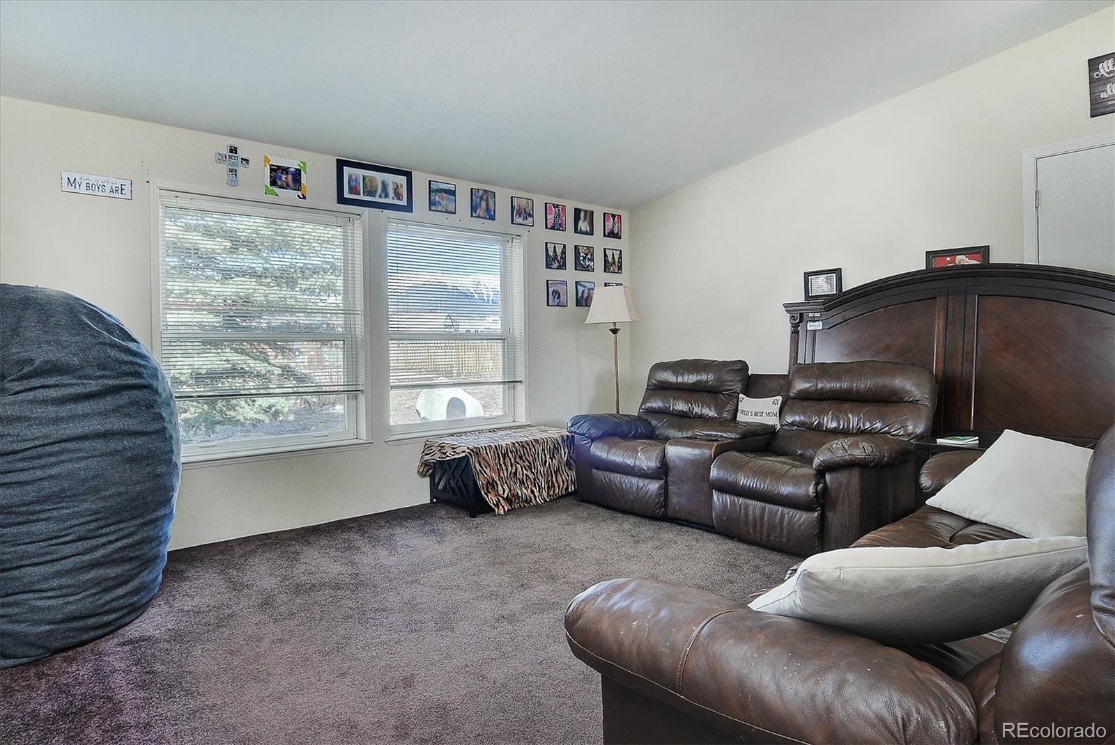 MLS Image #6 for 164  robert drive,buena vista, Colorado