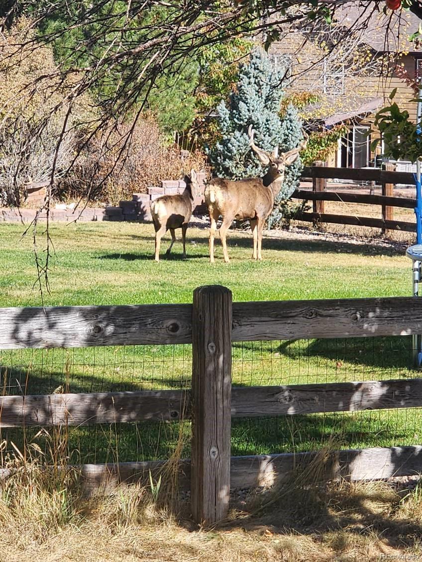 MLS Image #3 for 4860  bluesky drive,castle rock, Colorado