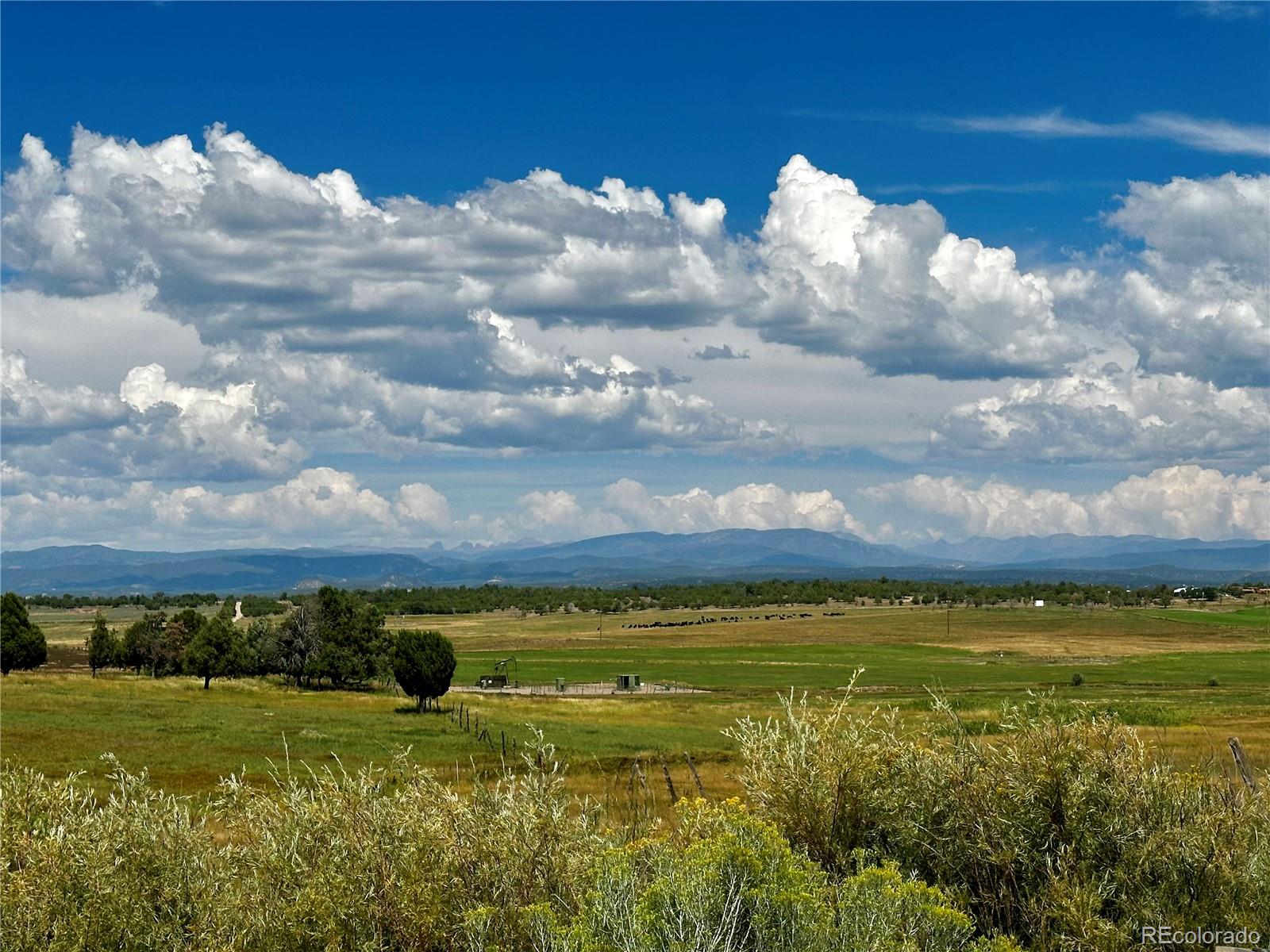 MLS Image #37 for 302  county road 314 ,ignacio, Colorado