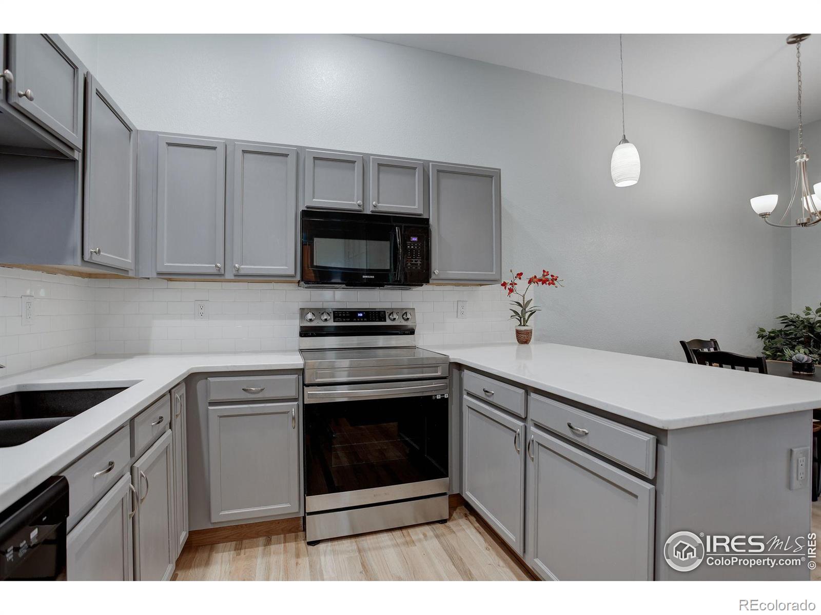 MLS Image #11 for 4500  seneca street,fort collins, Colorado